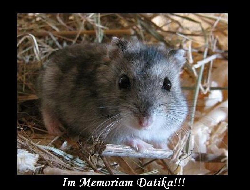 Datika